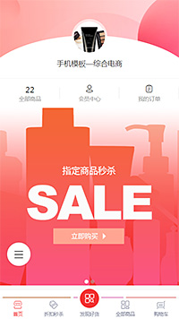 综合电商模板缩略图