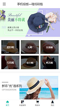 鞋帽箱包模板缩略图