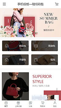 鞋帽箱包模板缩略图