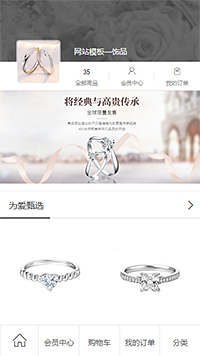 珠宝饰品模板缩略图