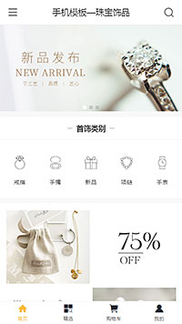 珠宝饰品模板缩略图