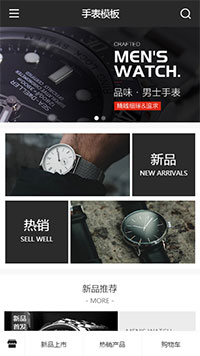 珠宝饰品模板缩略图