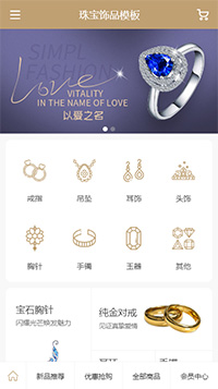 珠宝饰品模板缩略图