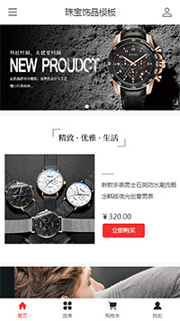 珠宝饰品模板缩略图