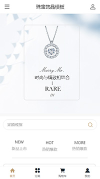 珠宝饰品模板缩略图