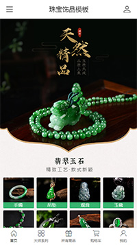 珠宝饰品模板缩略图