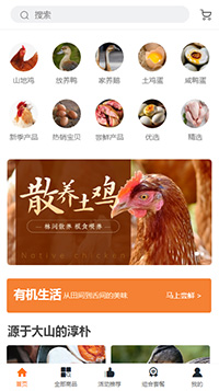 农产品模板缩略图