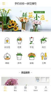 鲜花植物模板缩略图