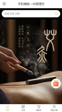 中医理疗模板缩略图