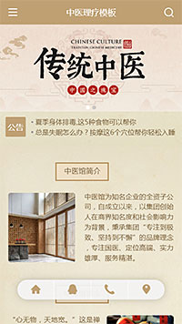 中医理疗模板缩略图