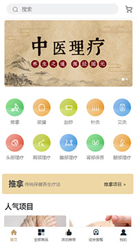 中医理疗模板缩略图