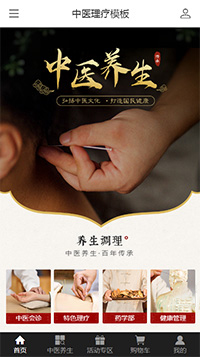 中医理疗模板缩略图
