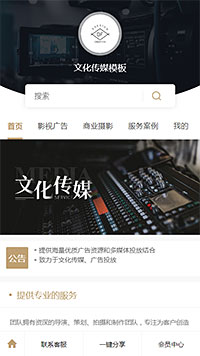文化传媒模板缩略图