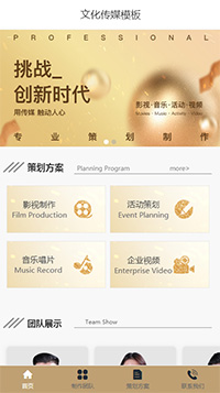 文化传媒模板缩略图